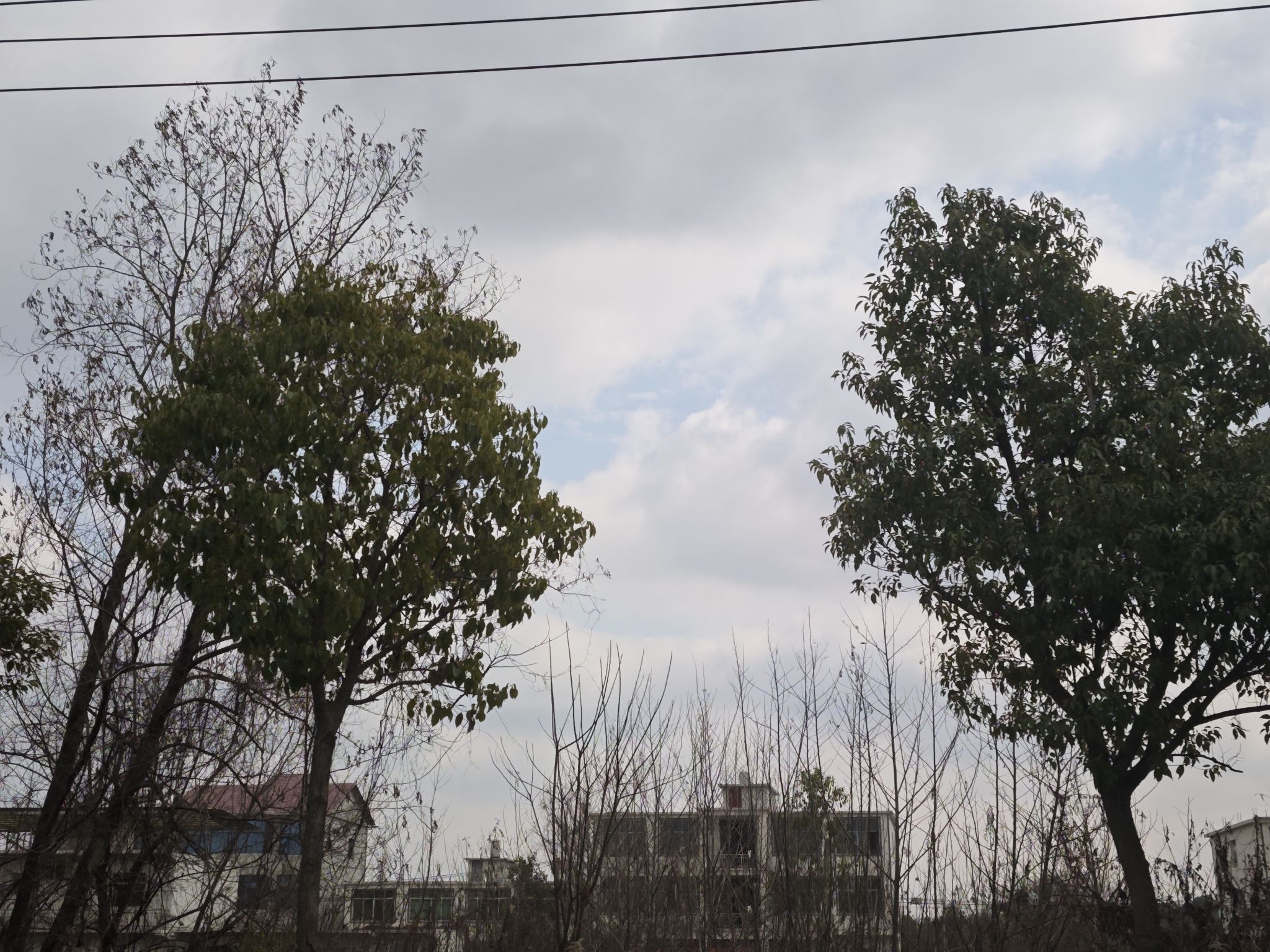 巴夫洛生态谷景区旅行图片 2