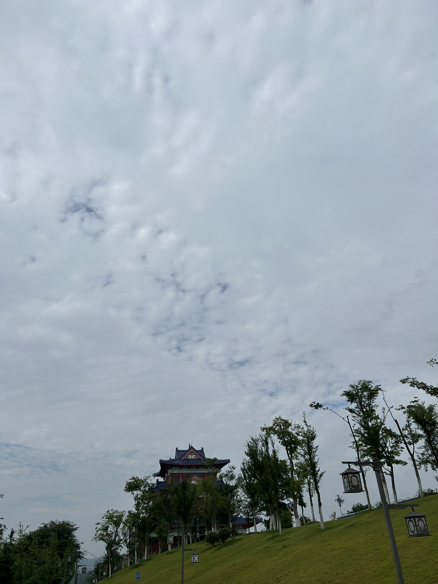 漂海楼旅行图片