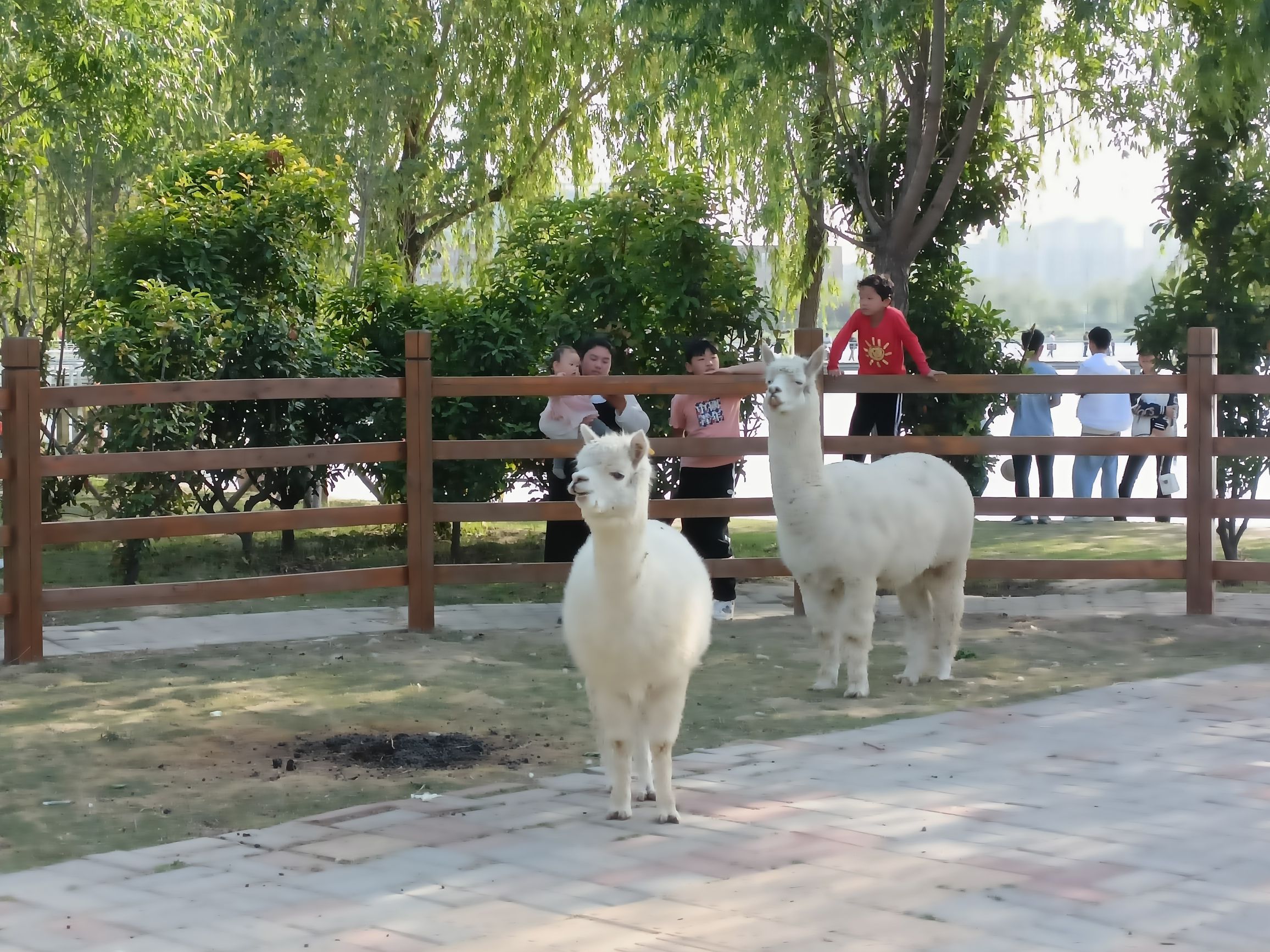 二坝寨引黄调蓄工程旅行图片 1