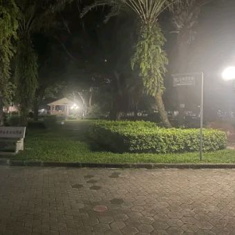 芙蓉公园旅行图片 1