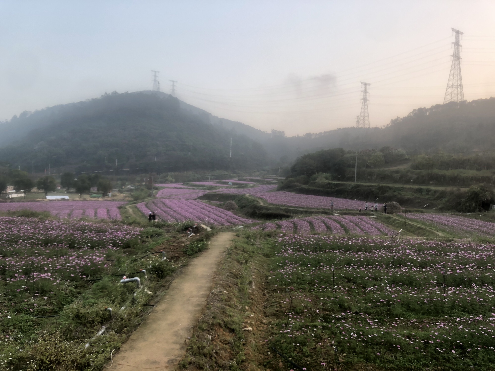 大帽山·云栖别苑旅行图片 3