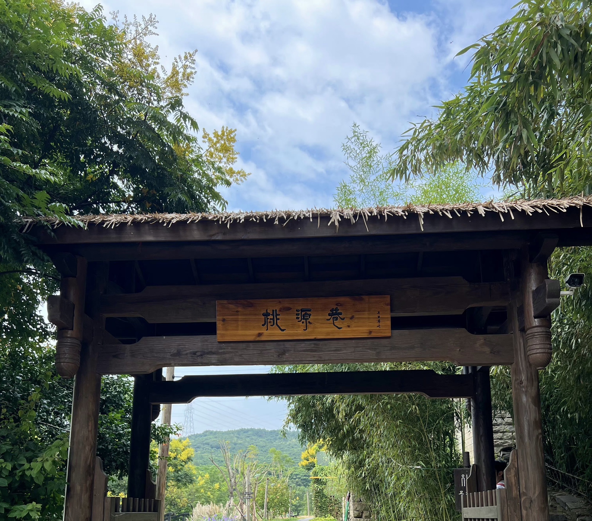 大帽山·云栖别苑旅行图片 3