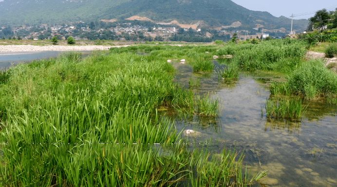 河北省涉县清漳河国家湿地公园旅行图片 3