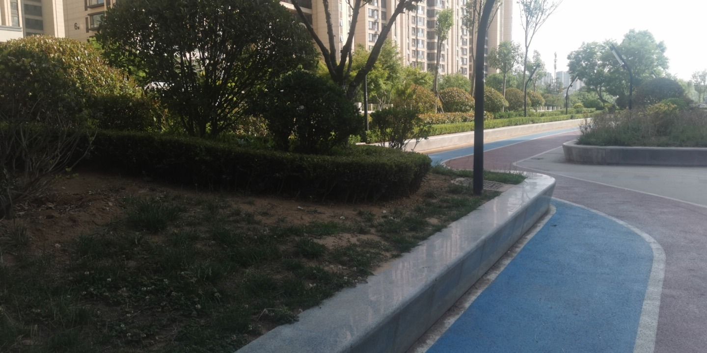 未来公园旅行图片 3
