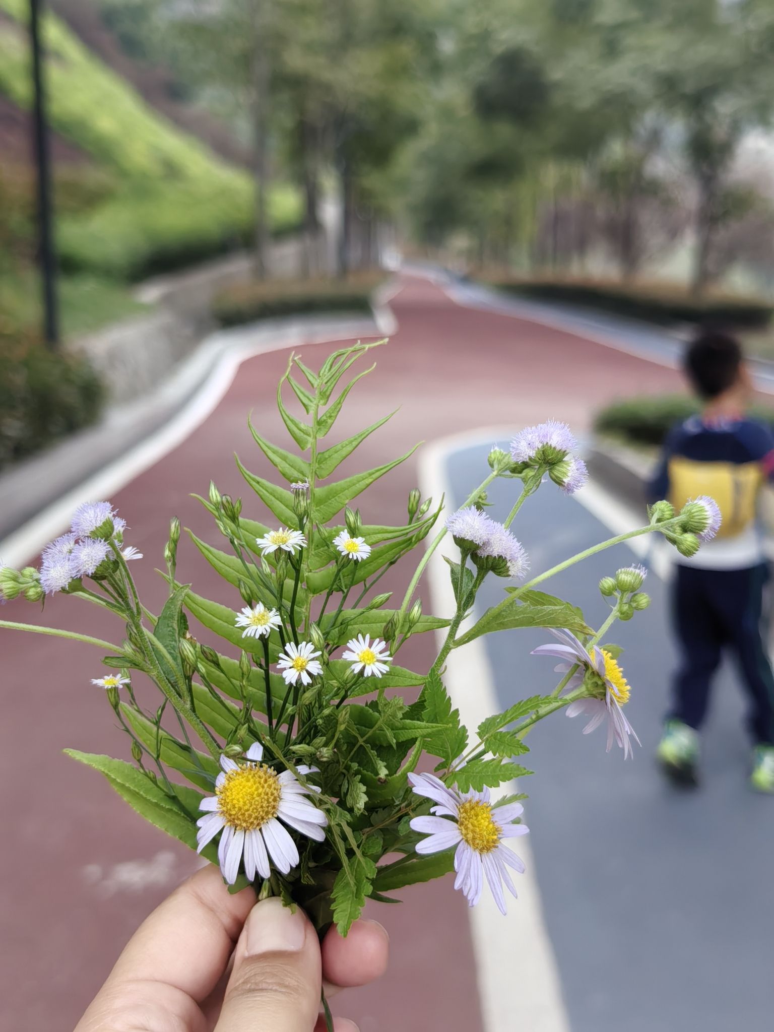 虎头岩公园旅行图片 2