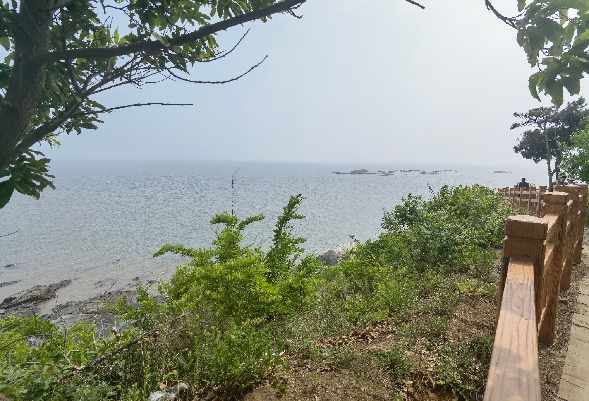 花园口遗址旅行图片 3