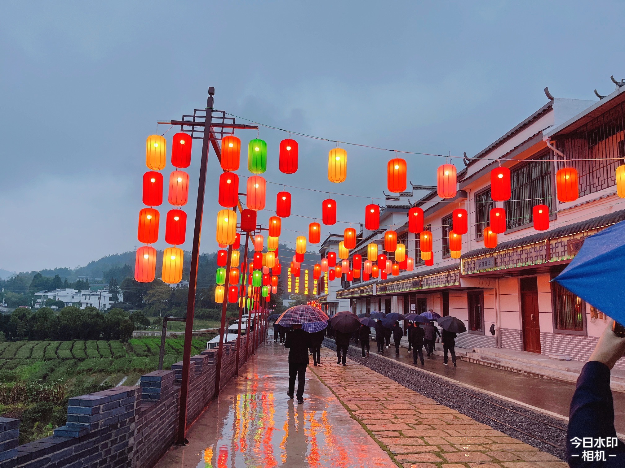 赣南森林小火车旅行图片 2