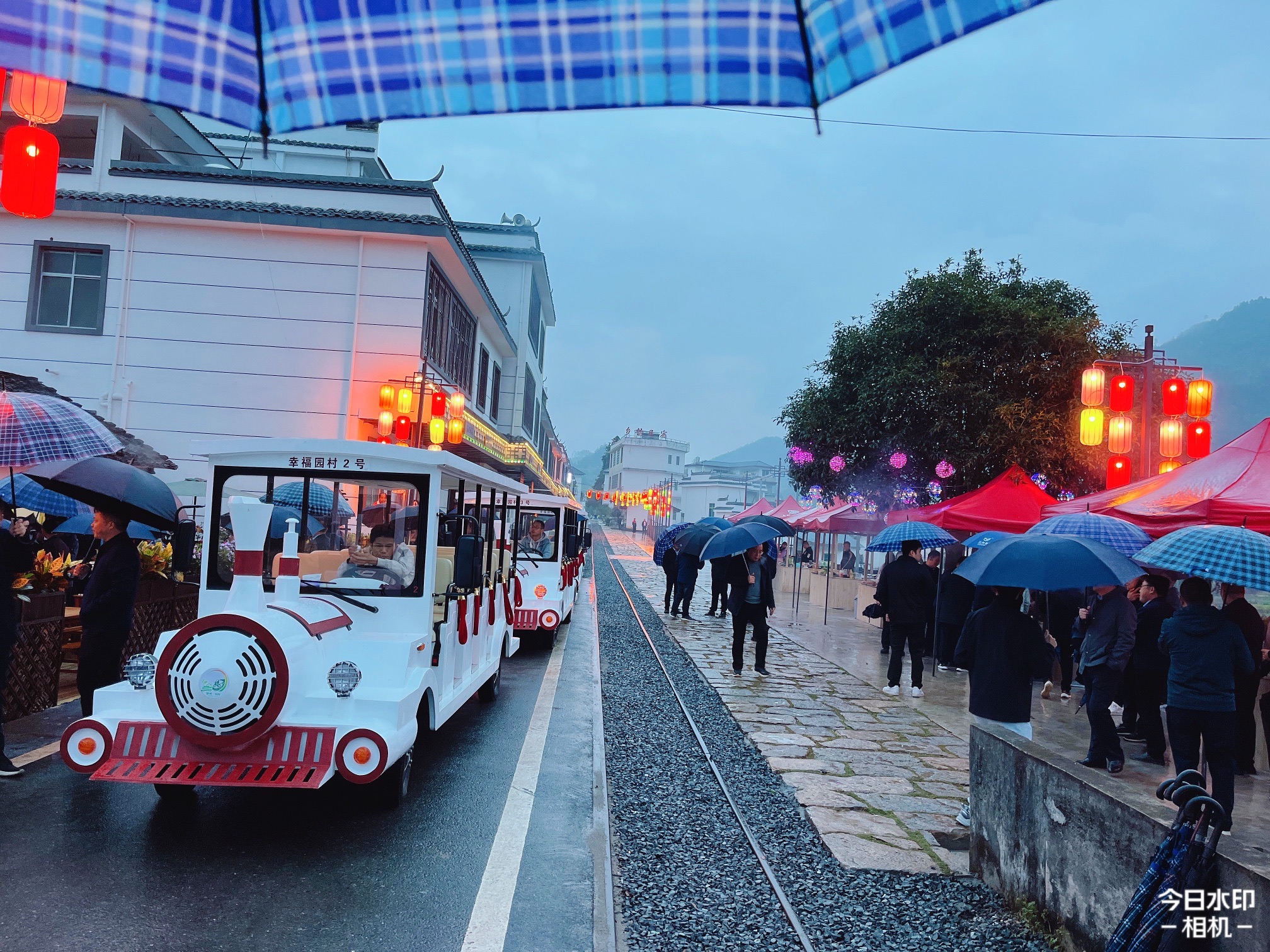 赣南森林小火车旅行图片 1