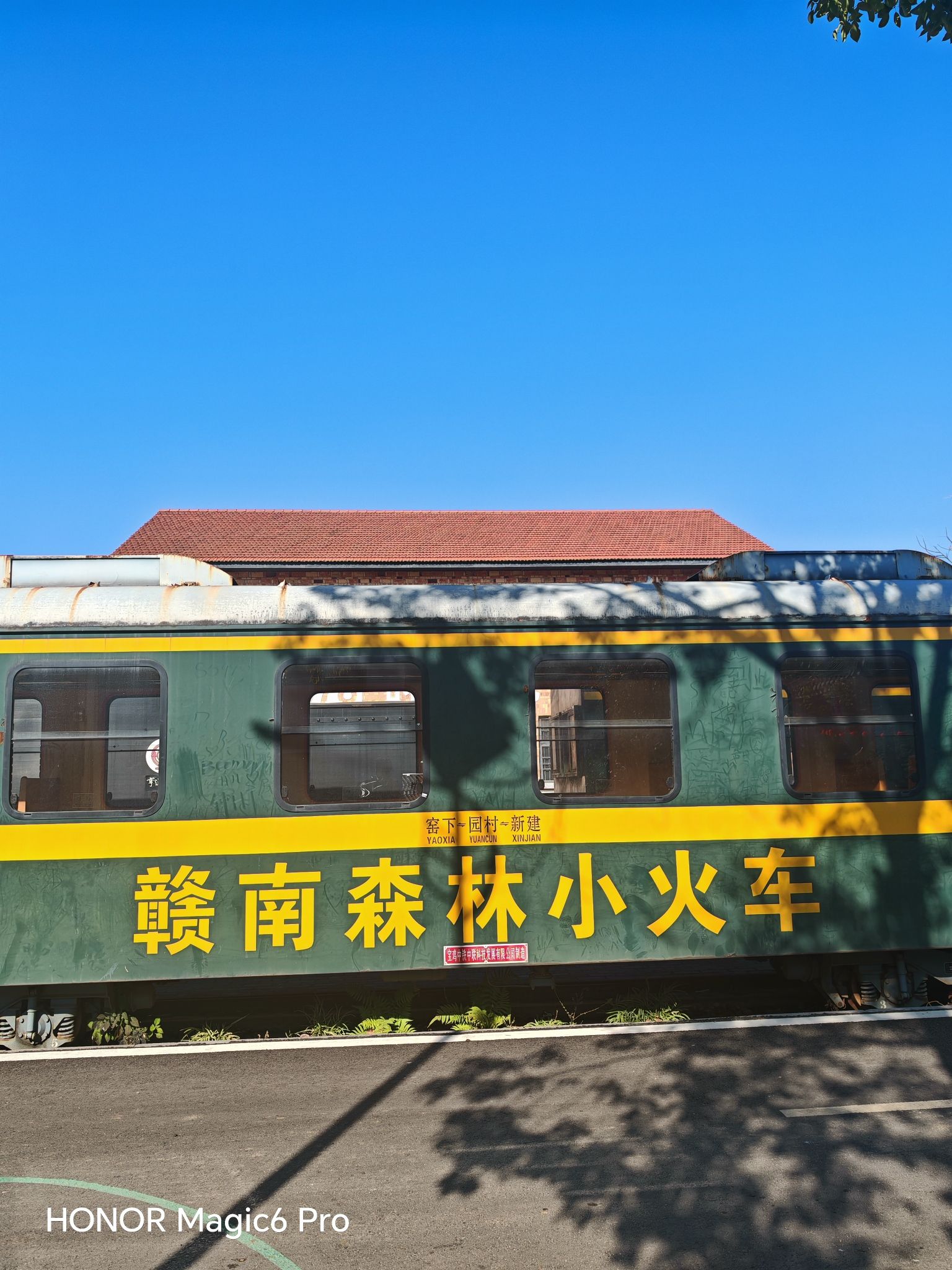 赣南森林小火车旅行图片 1