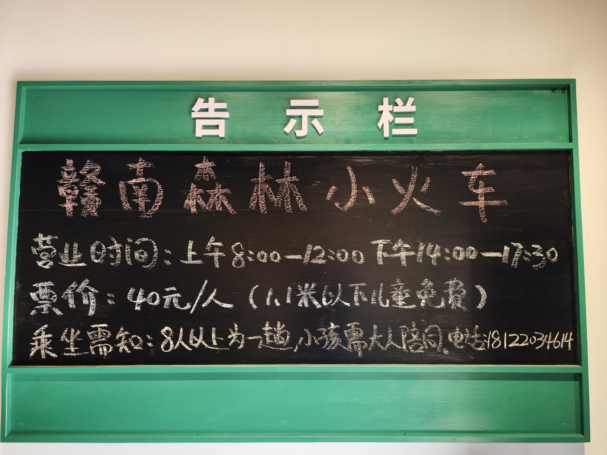 赣南森林小火车旅行图片 1