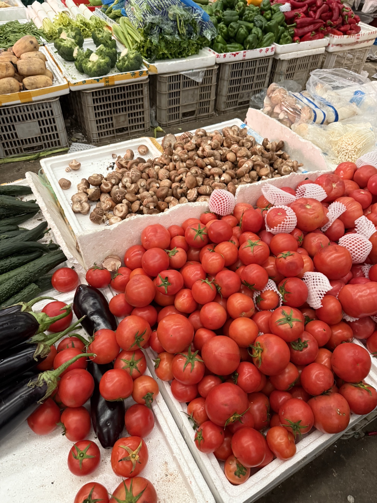 诸暨市新农都旭龙蔬菜批发