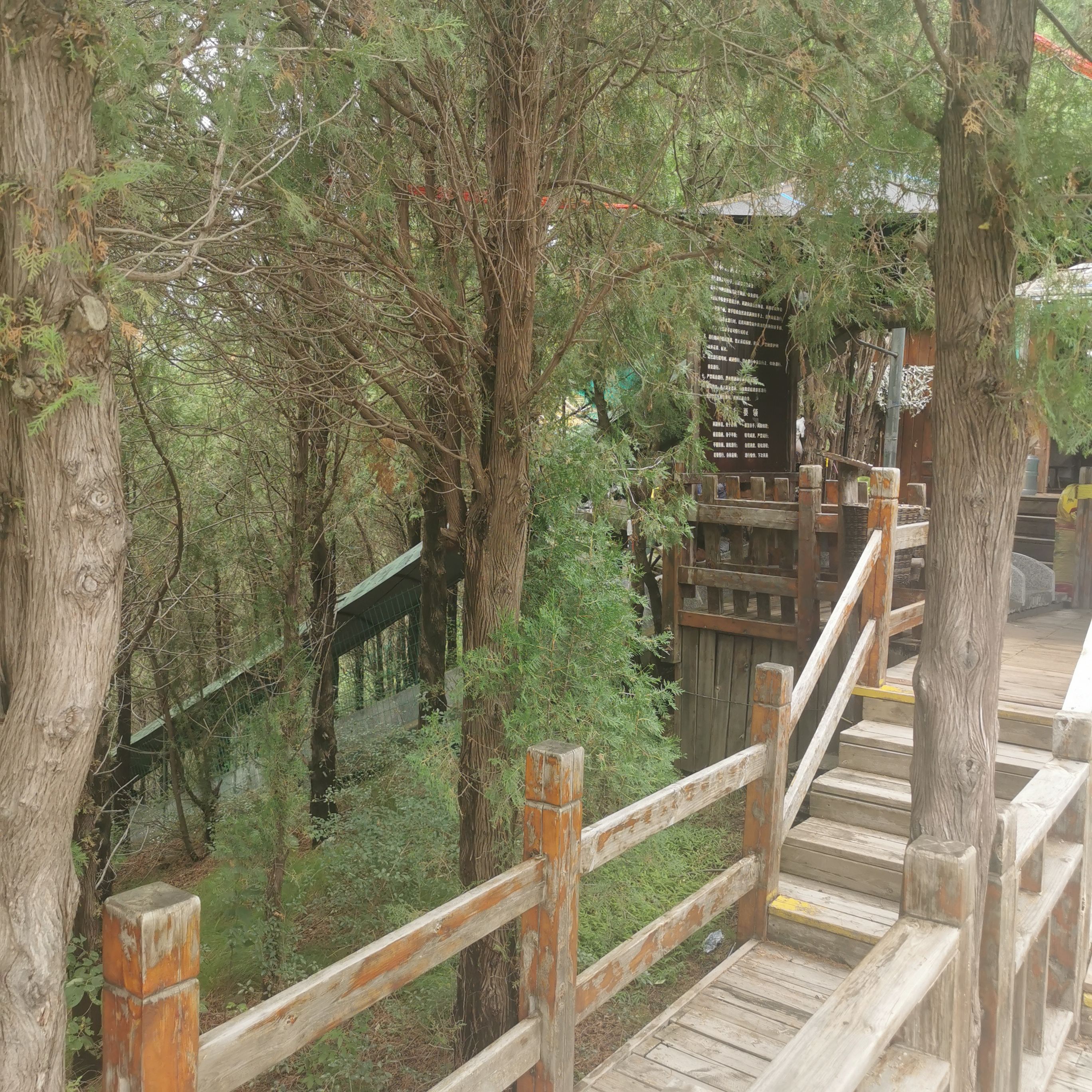 黄花溪景区-滑道