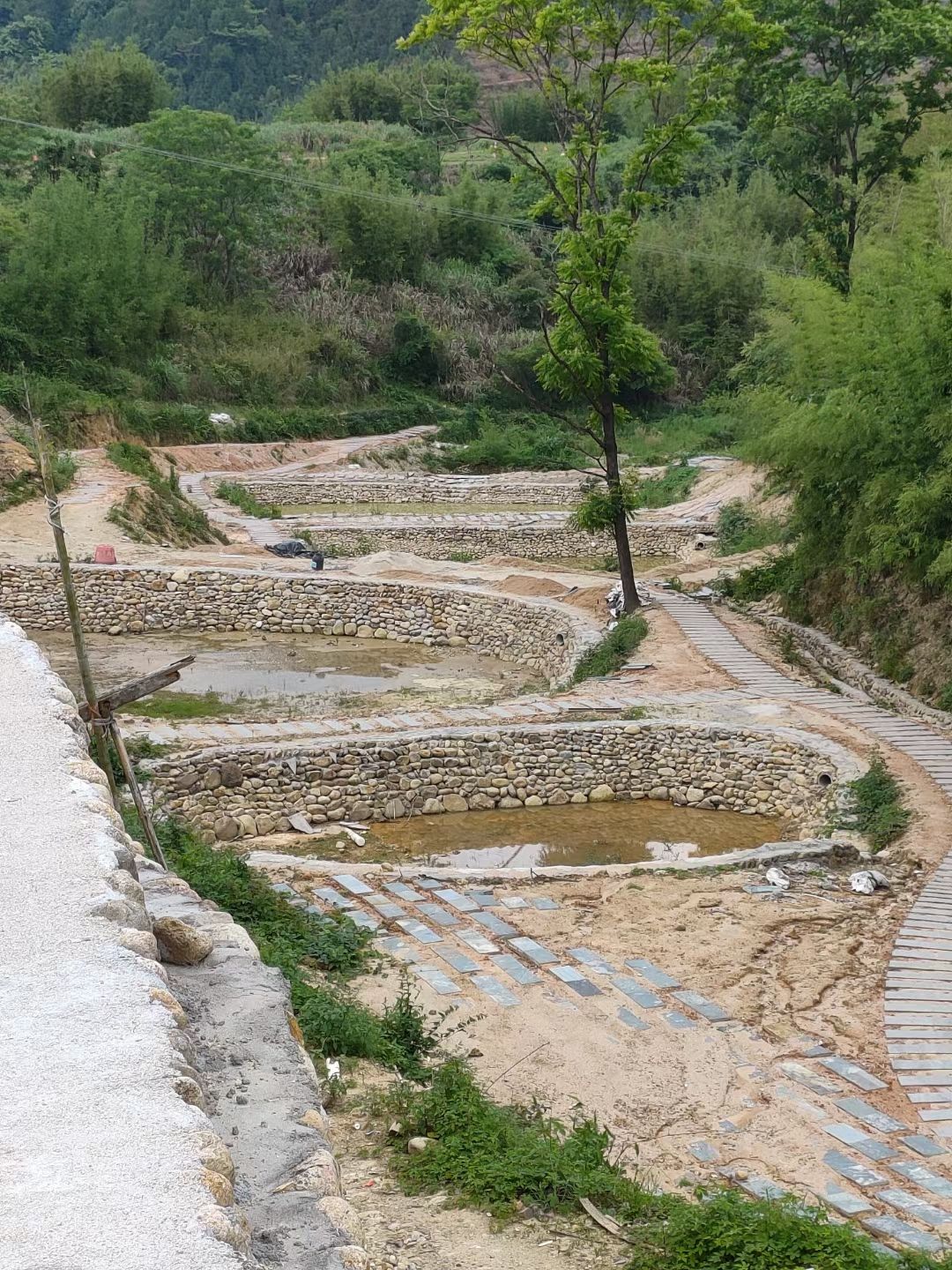 张九龄故居祠堂旅行图片 2
