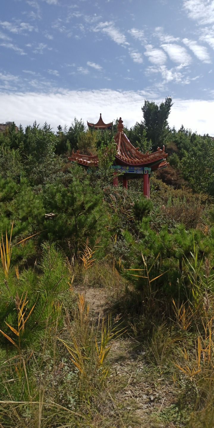 南山公园旅行图片 2