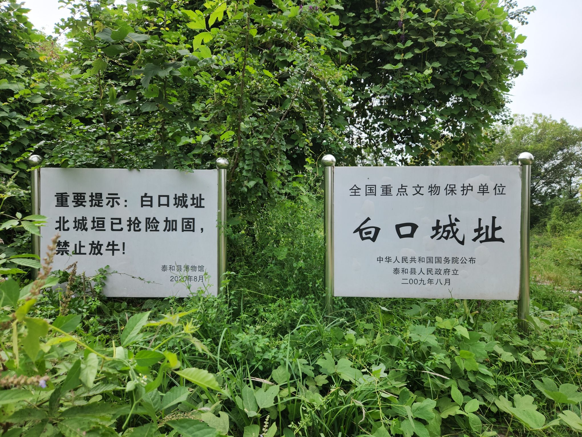 白口城遗址旅行图片 3