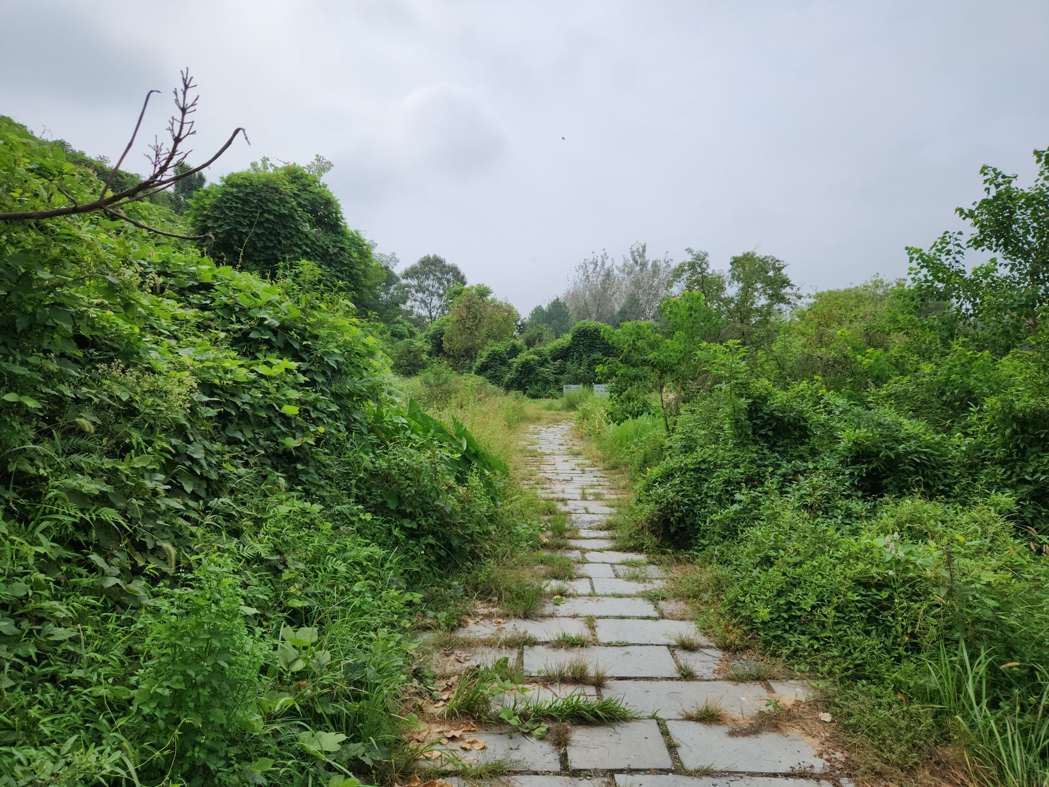 白口城遗址旅行图片 2