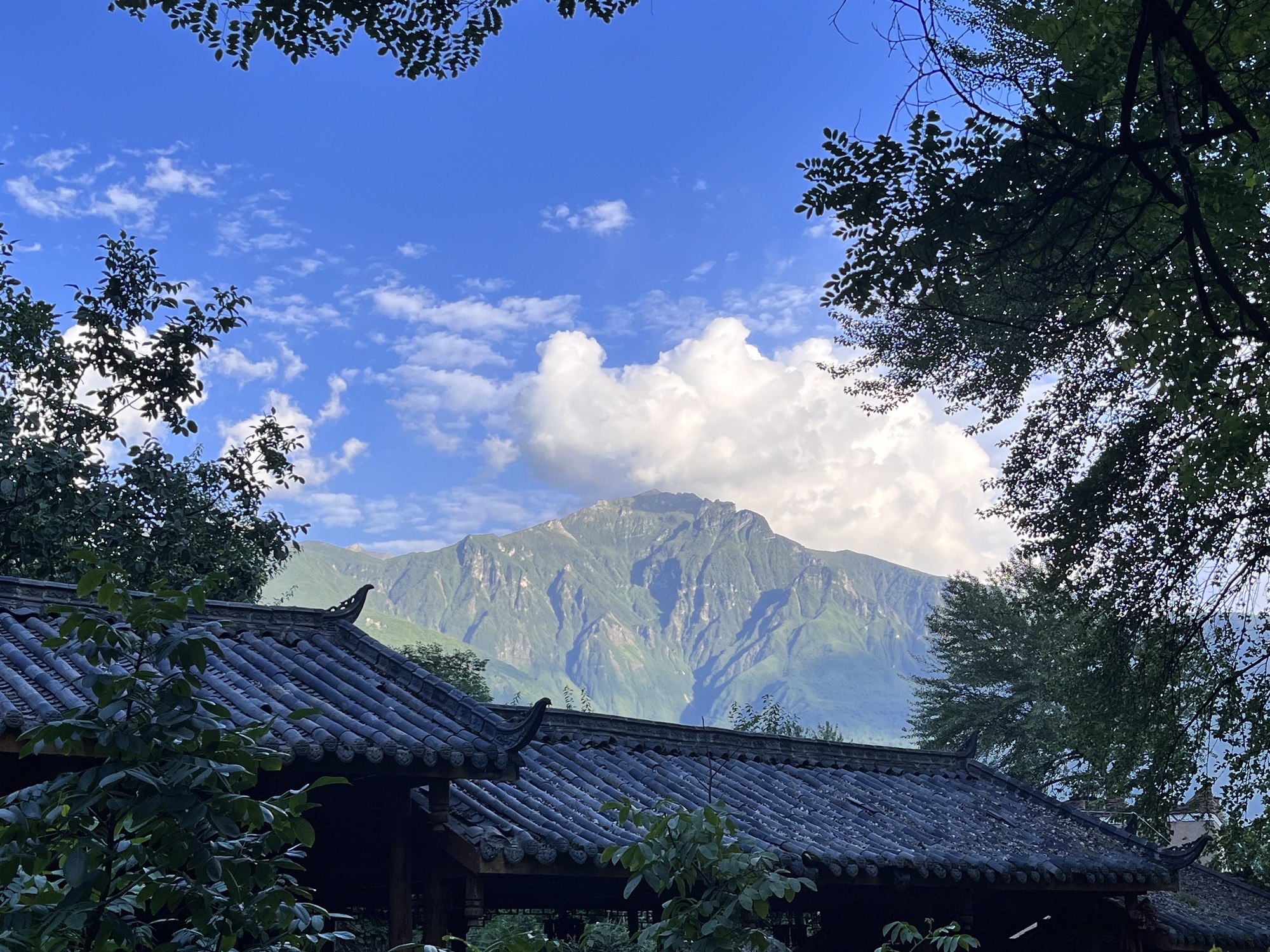 咂酒广场旅行图片 3