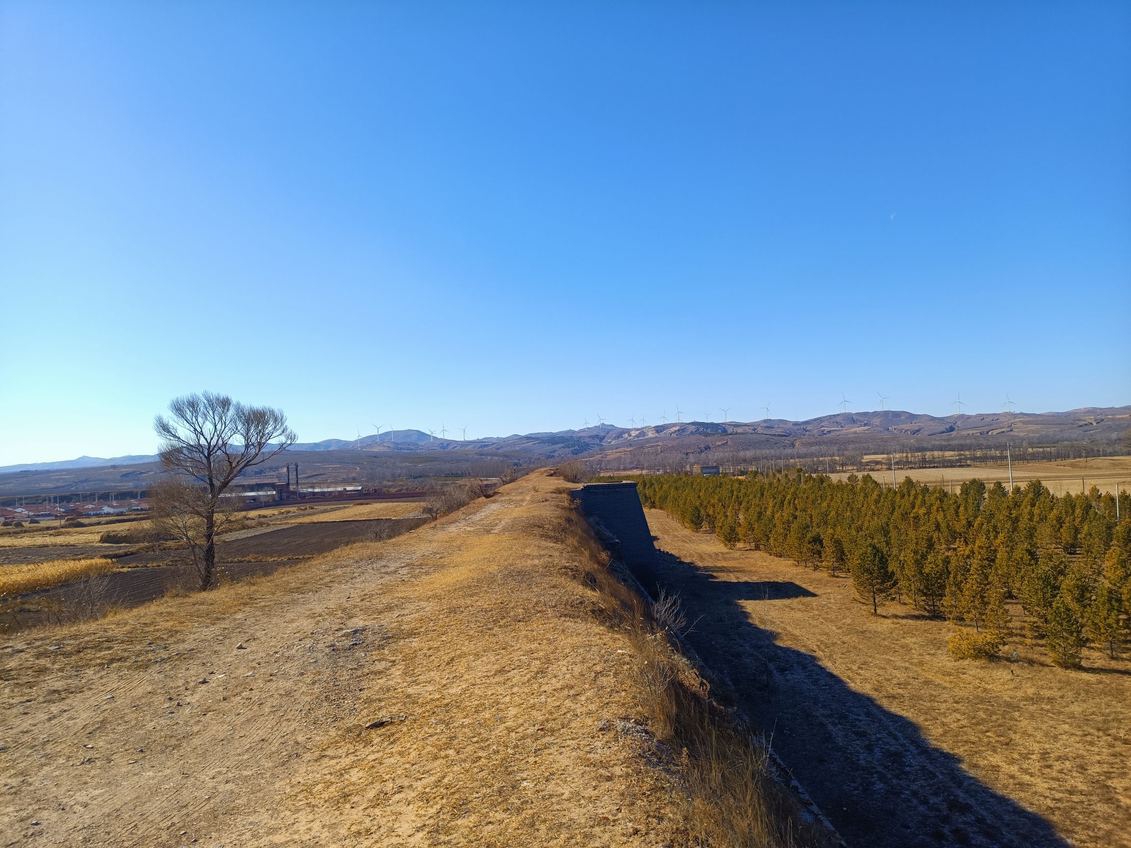 右卫古城墙遗址旅行图片 2