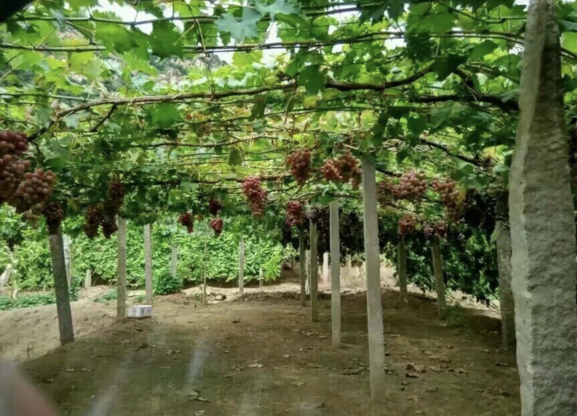 卢龙鲍子沟景区旅行图片 2