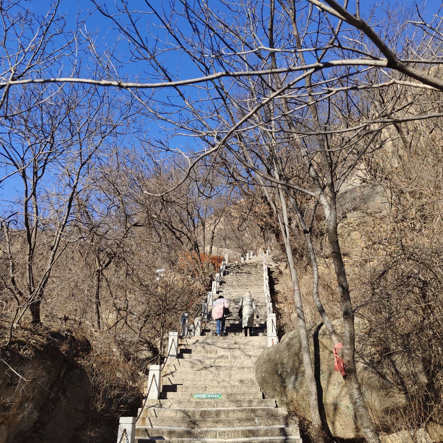 神笔书天旅行图片 2