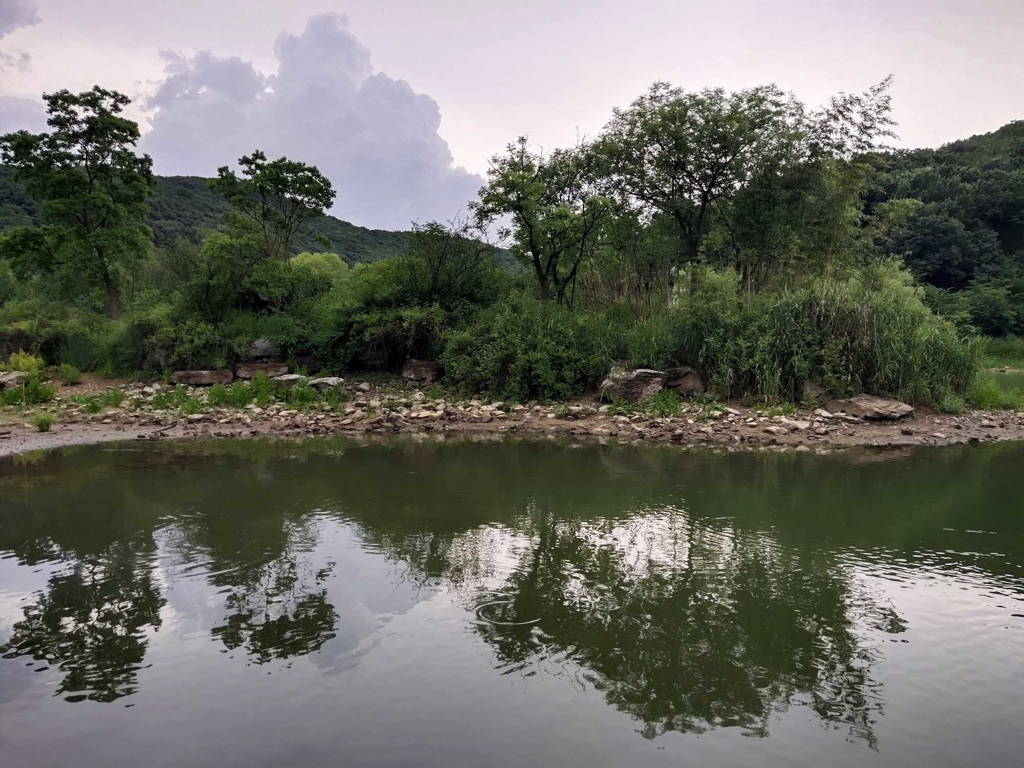 珍珠湖旅行图片 1