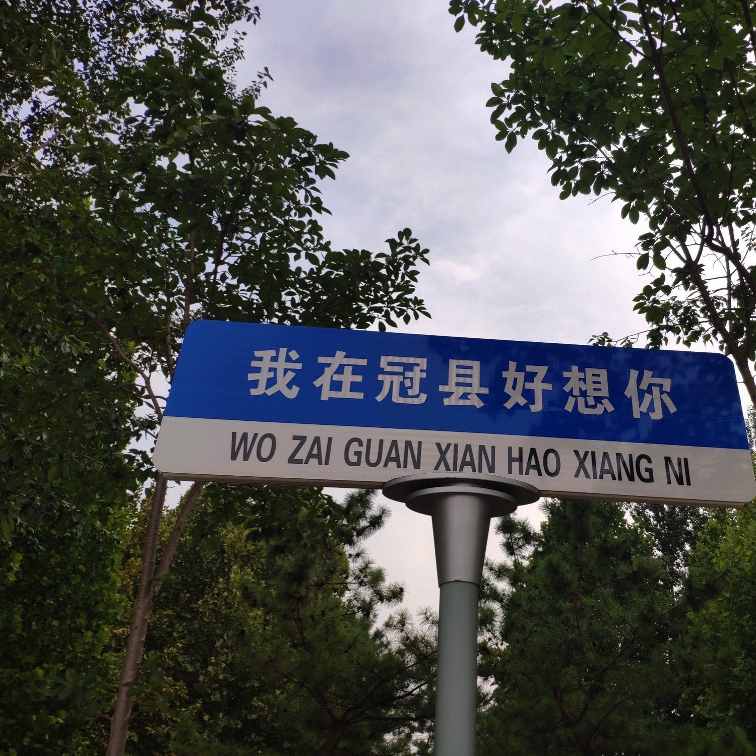 冠县清泉河人工湿地旅行图片 1