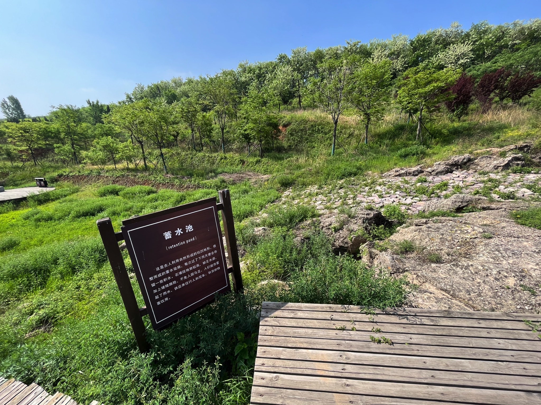 崤函古道石壕段遗址旅行图片 1