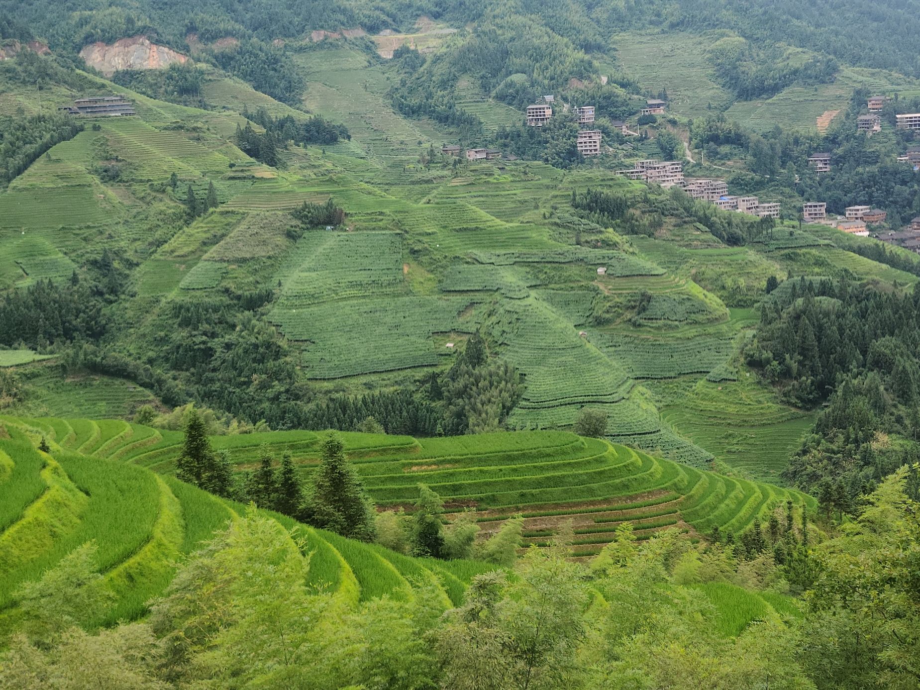 凤凰回头观景点旅行图片 3