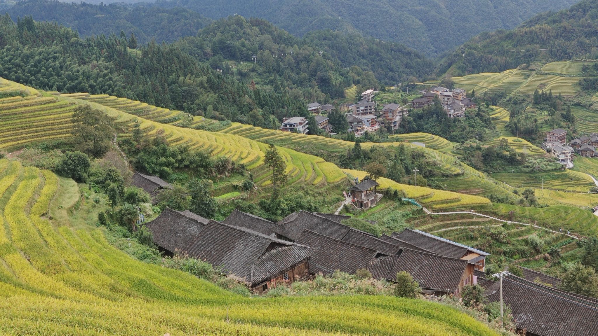凤凰回头观景点旅行图片 1
