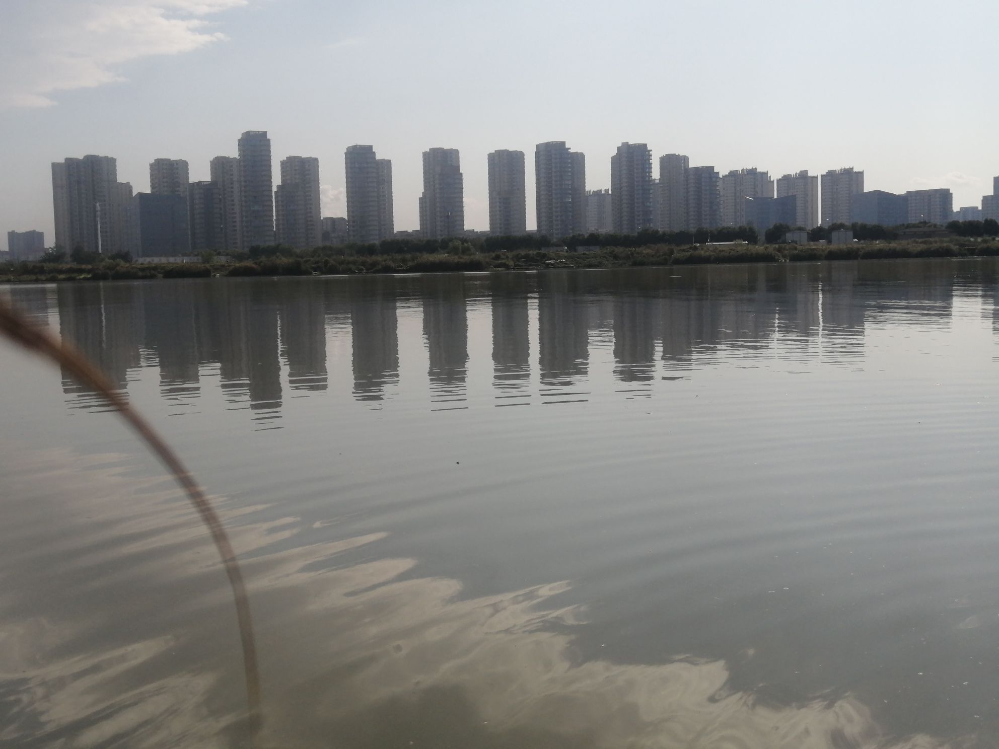 双古渡公园旅行图片 1