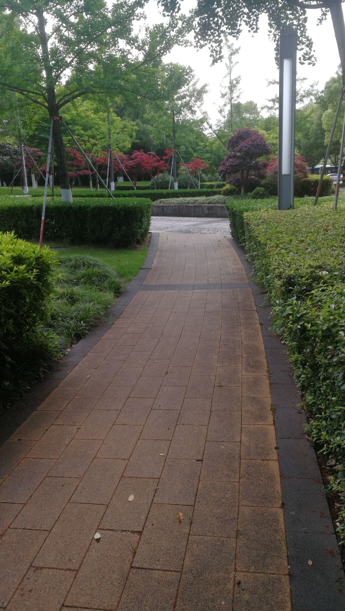 双古渡公园旅行图片 1