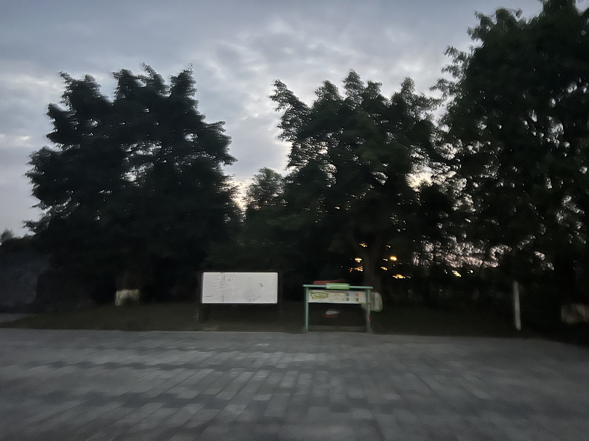 莲花广场旅行图片 2