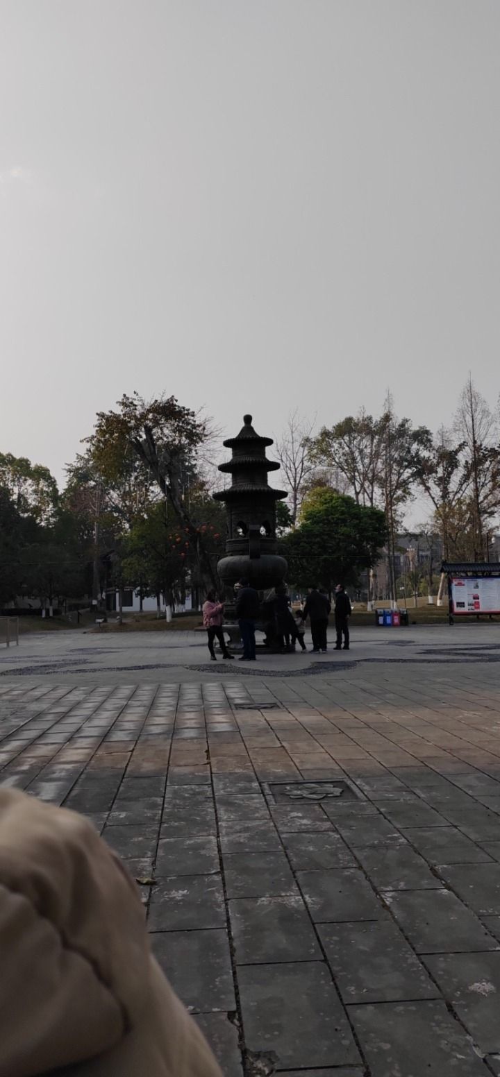 莲花广场旅行图片 1