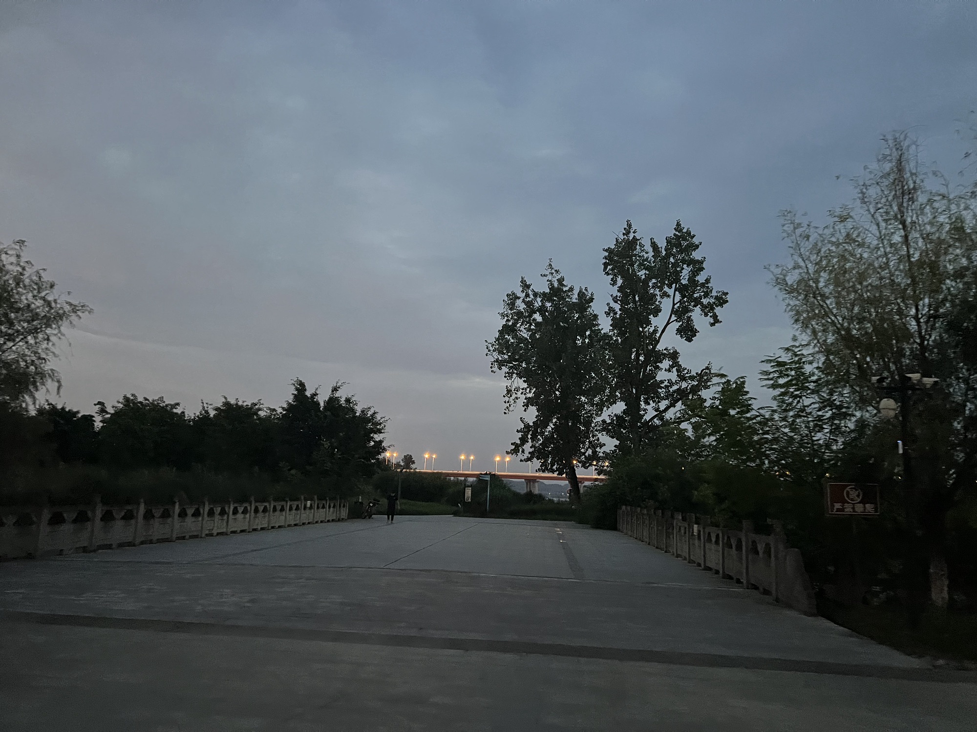 莲花广场旅行图片 3