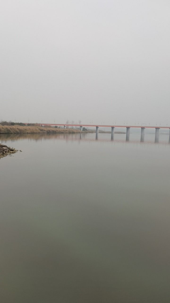 莲花广场旅行图片 2