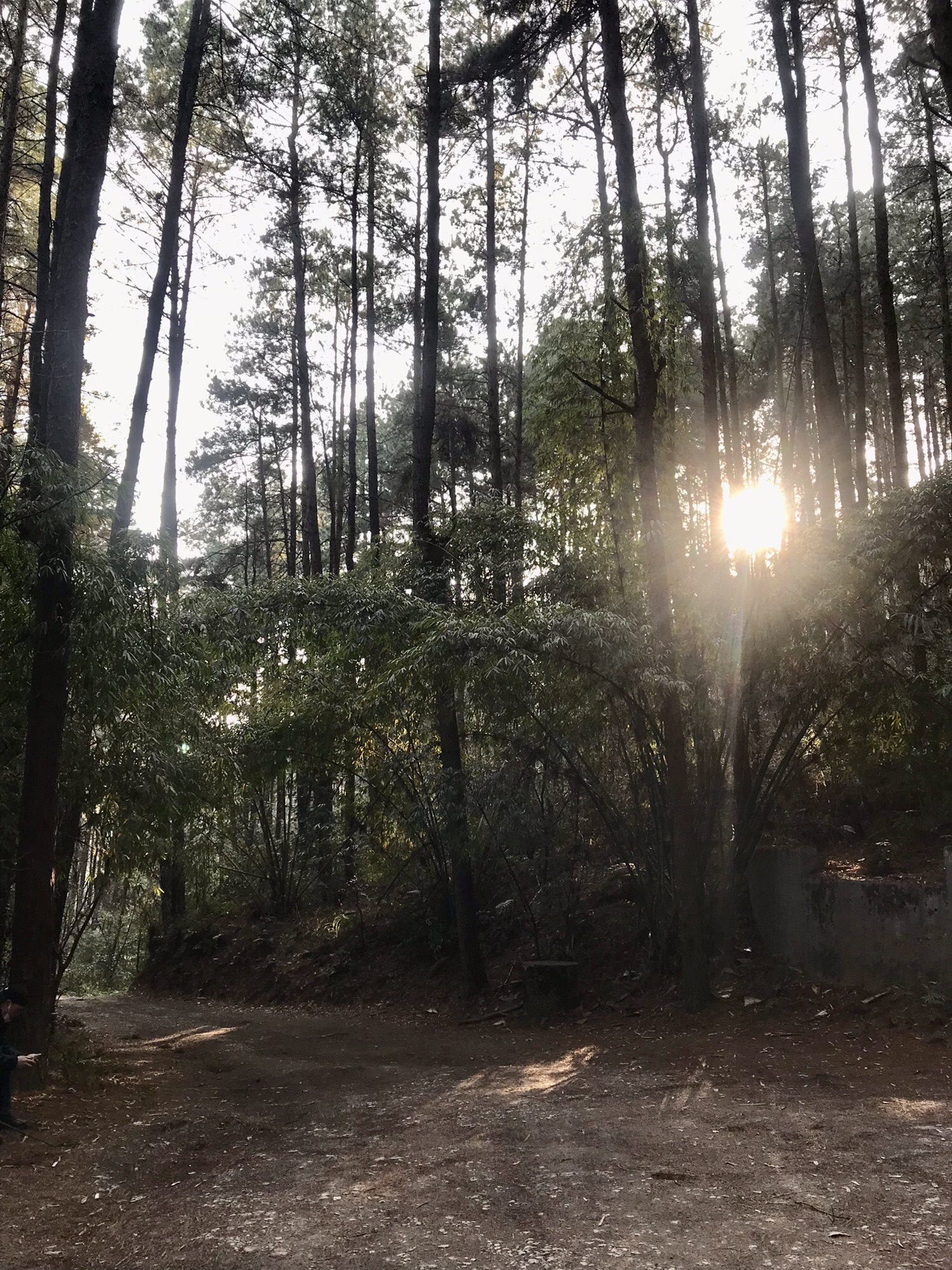 梅兰山公园旅行图片 3