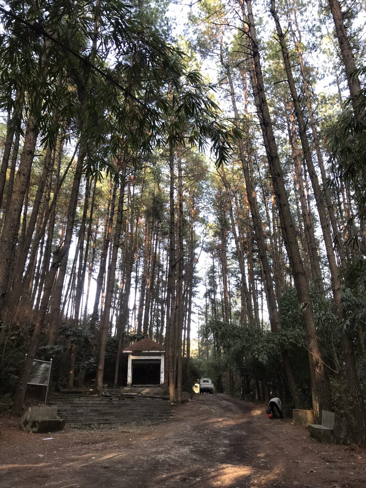 梅兰山公园旅行图片 1