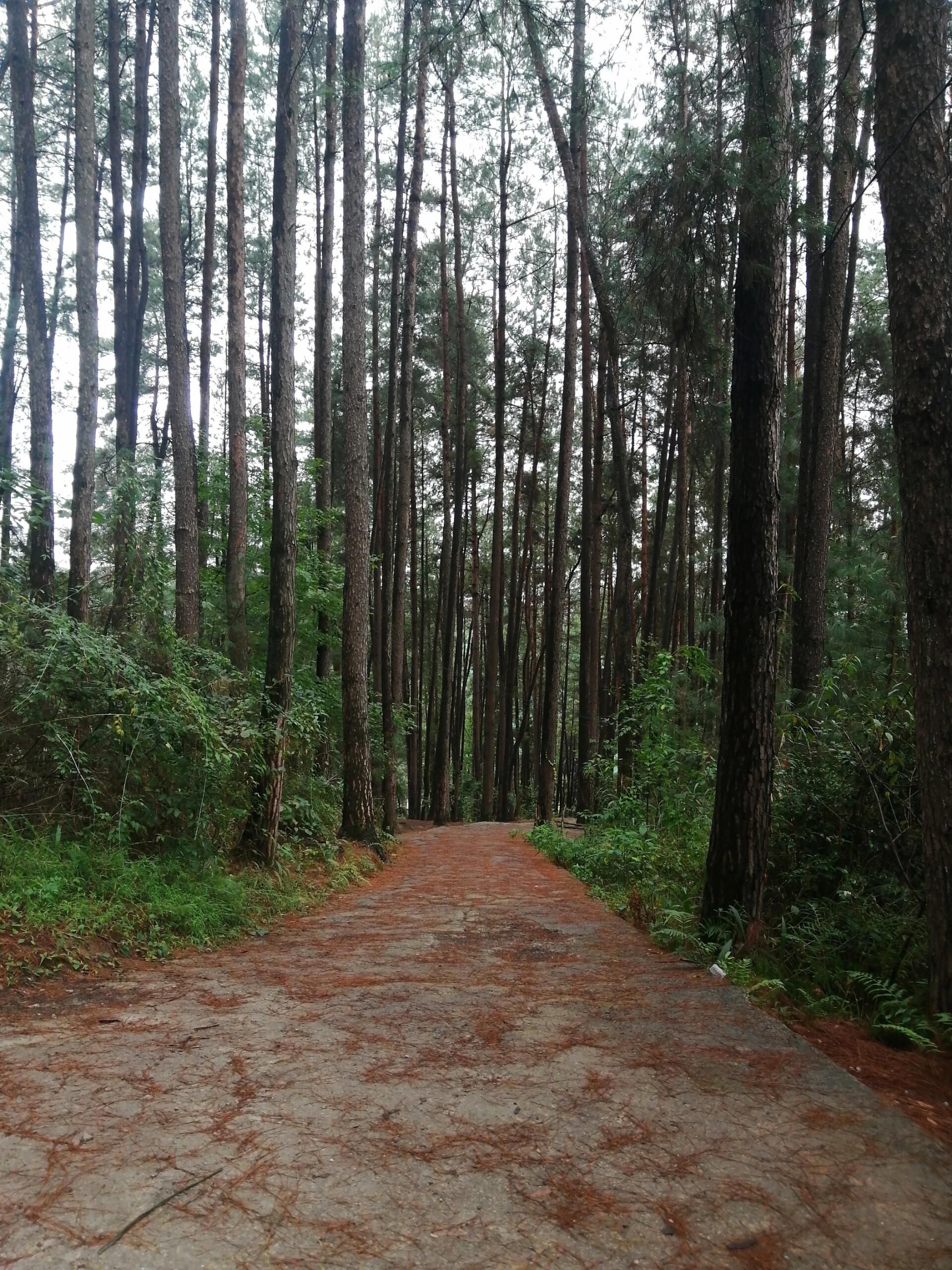 梅兰山公园旅行图片 1