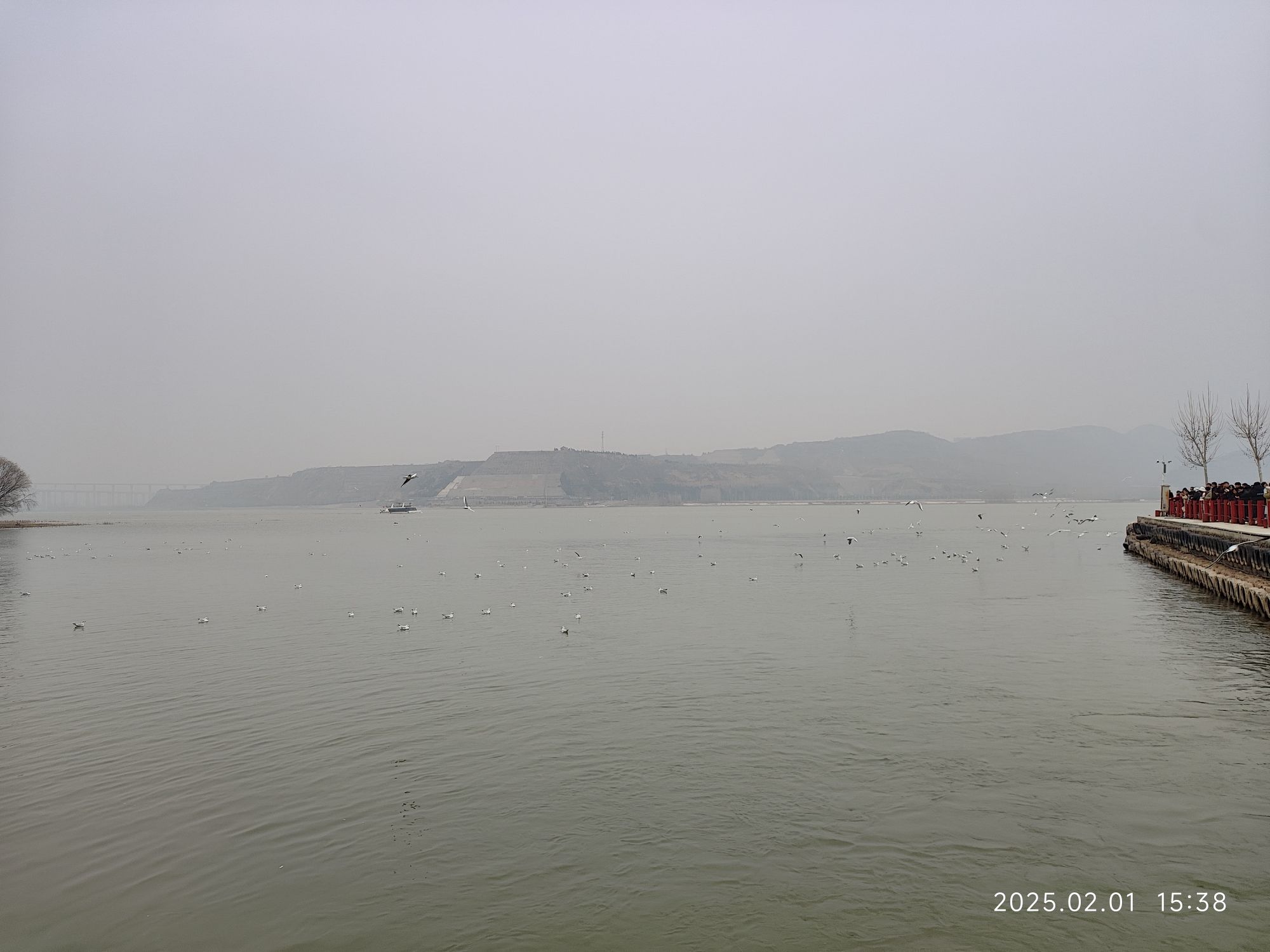黄河天鹅号游轮旅行图片 1