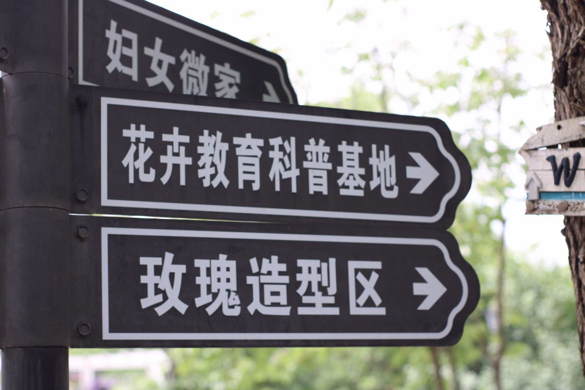 满庭芳郊野花园旅行图片 1