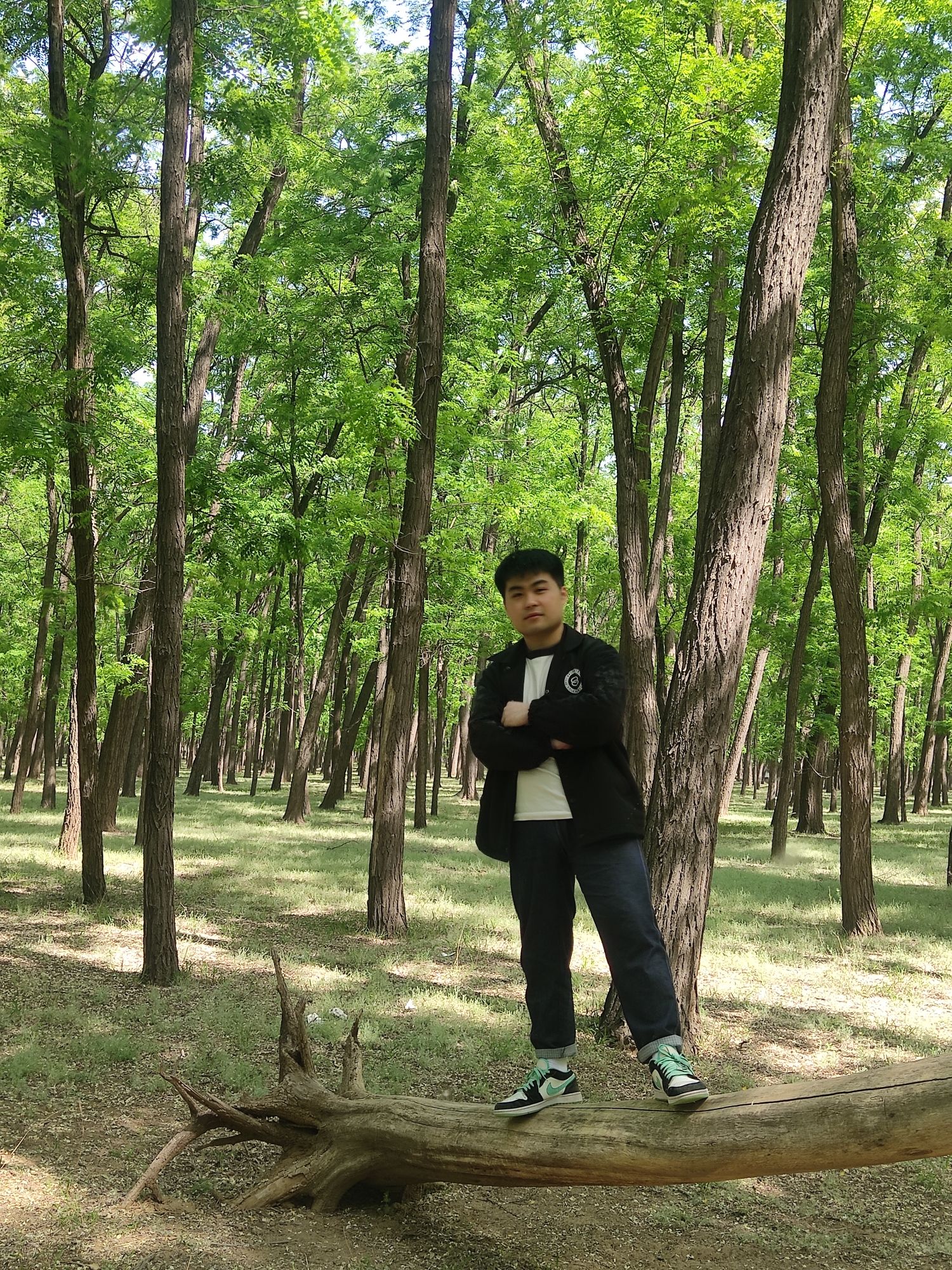 申甘林带主会场旅行图片 1