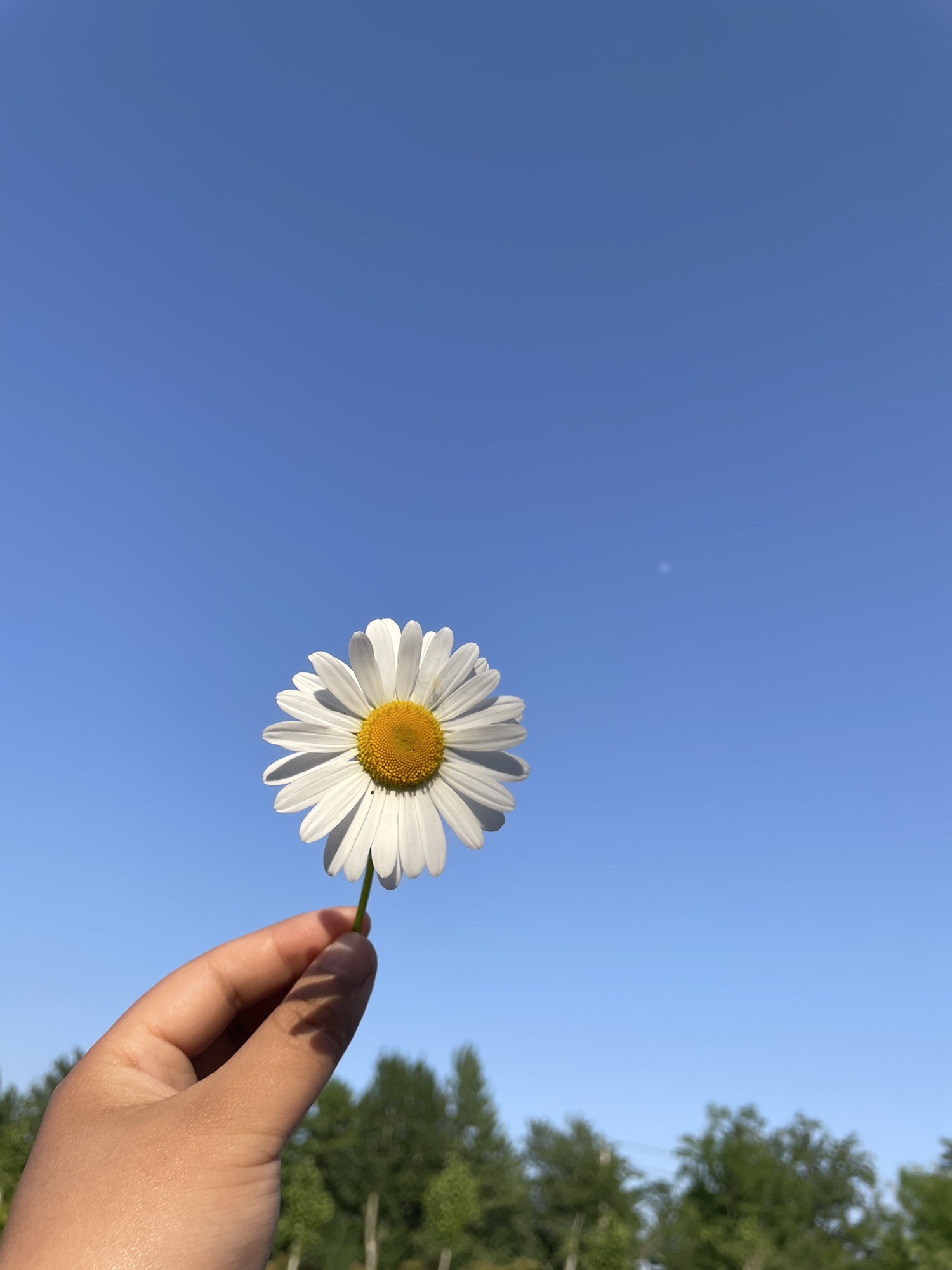 申甘林带主会场旅行图片 2