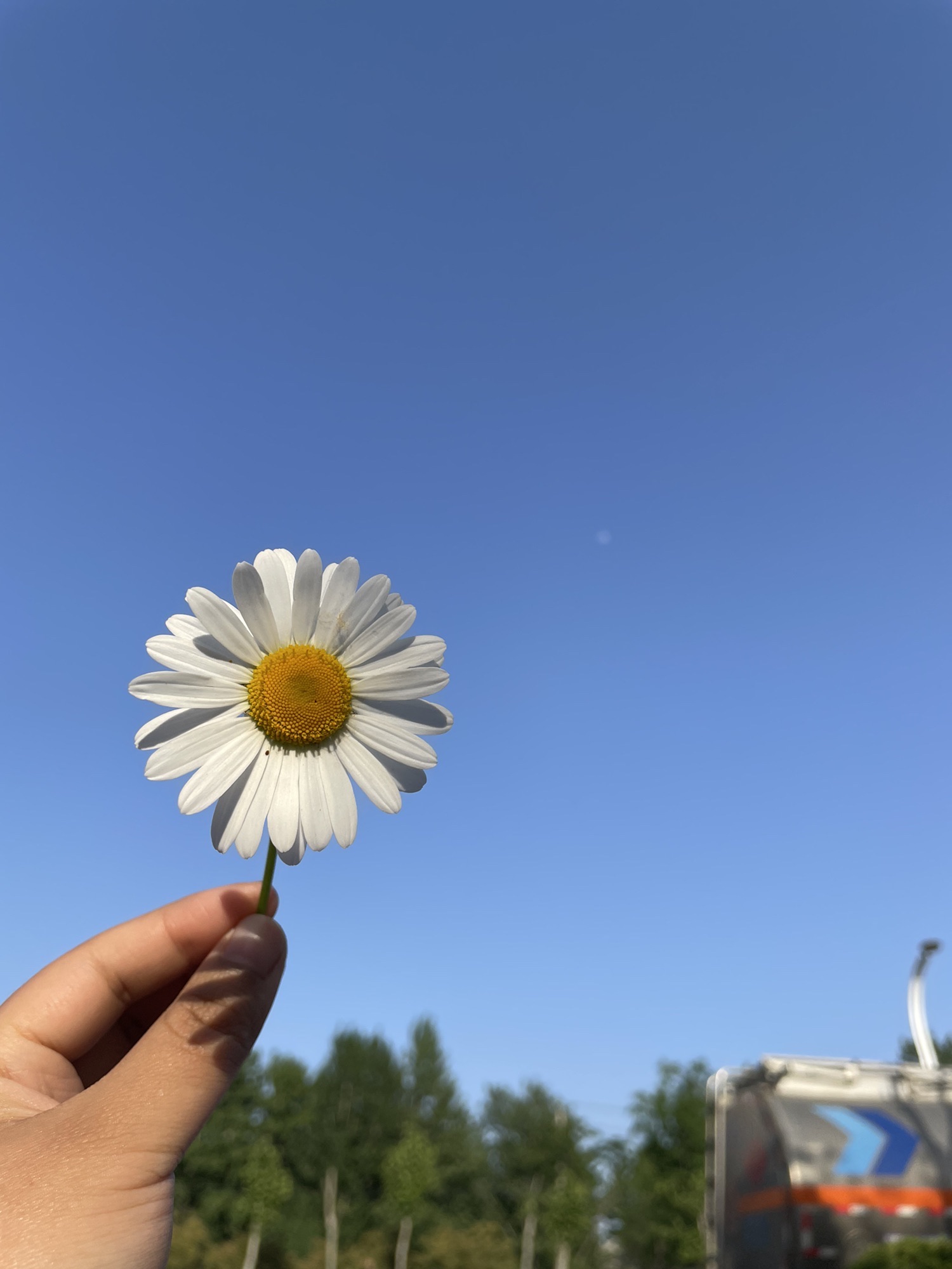 申甘林带主会场旅行图片 3