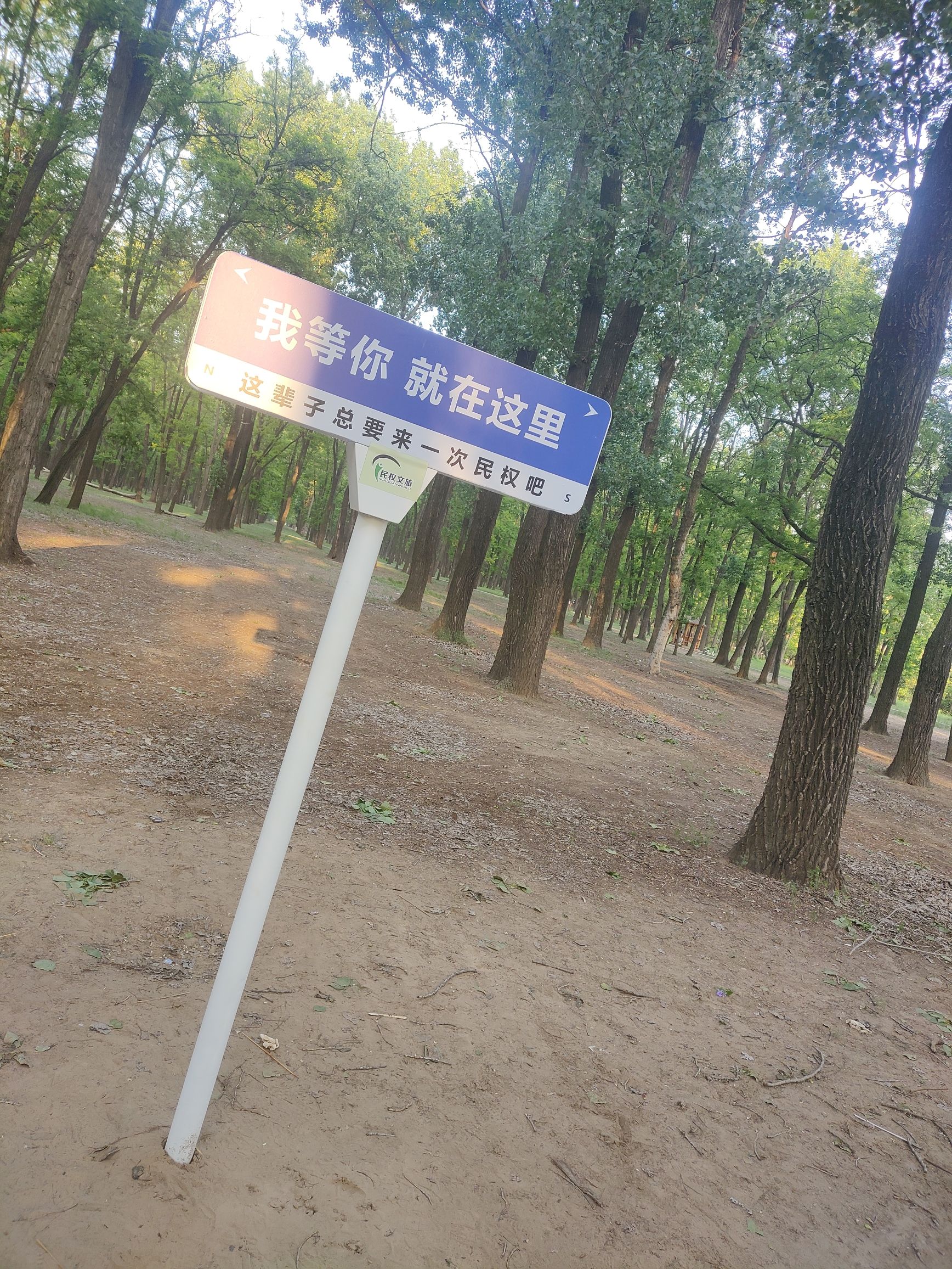 申甘林带主会场旅行图片 2