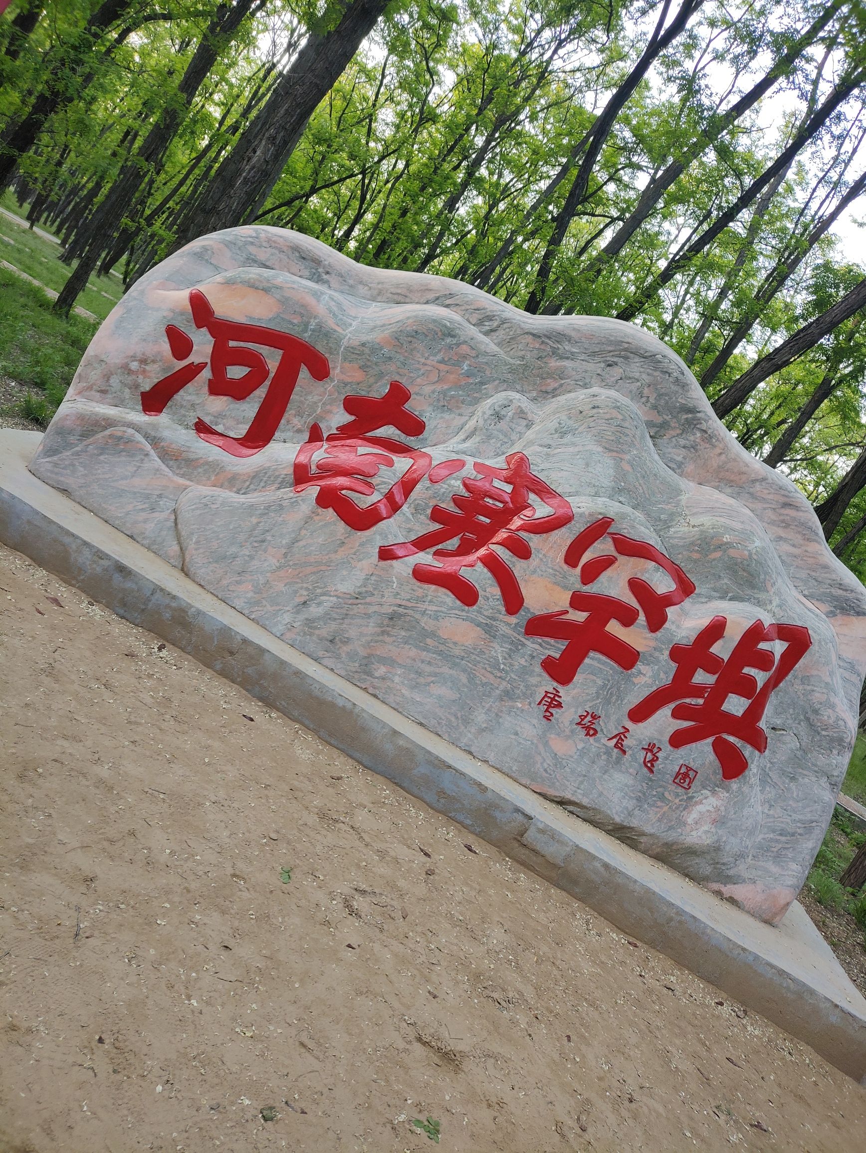 申甘林带主会场旅行图片 1