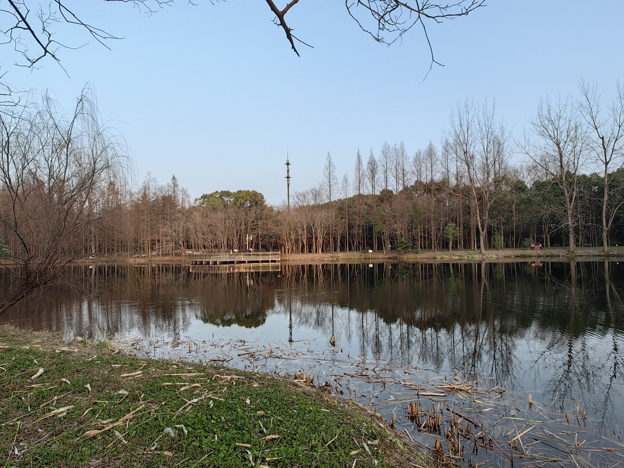 丰翔智秀公园旅行图片 1
