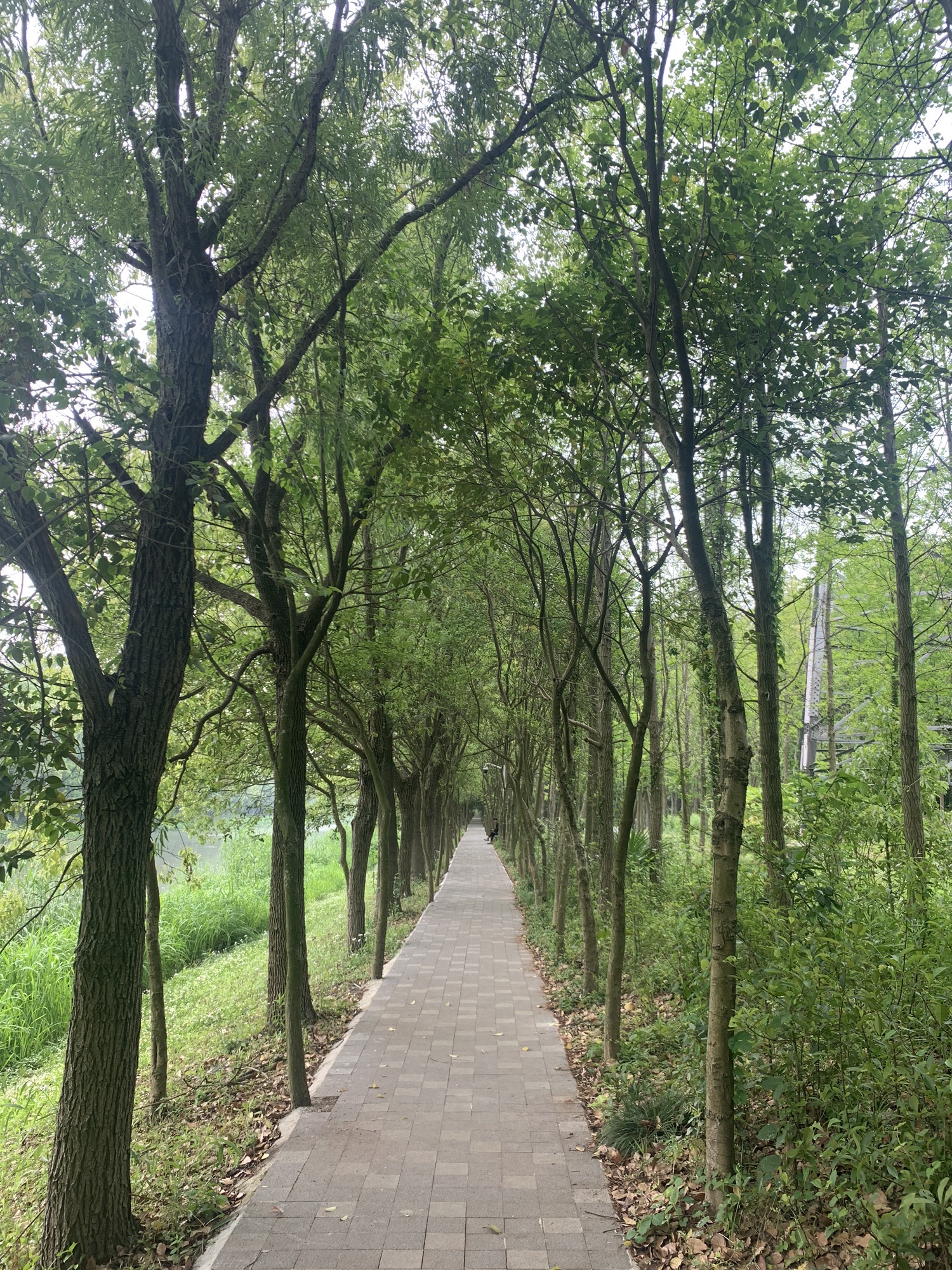 丰翔智秀公园旅行图片 2