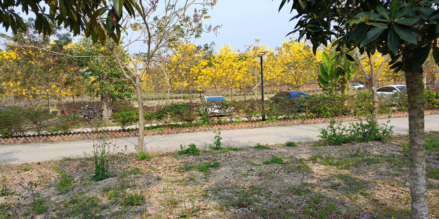 岜博山康养景区旅行图片 3