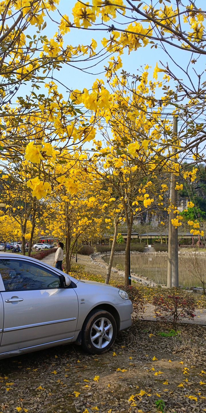 岜博山康养景区旅行图片 2