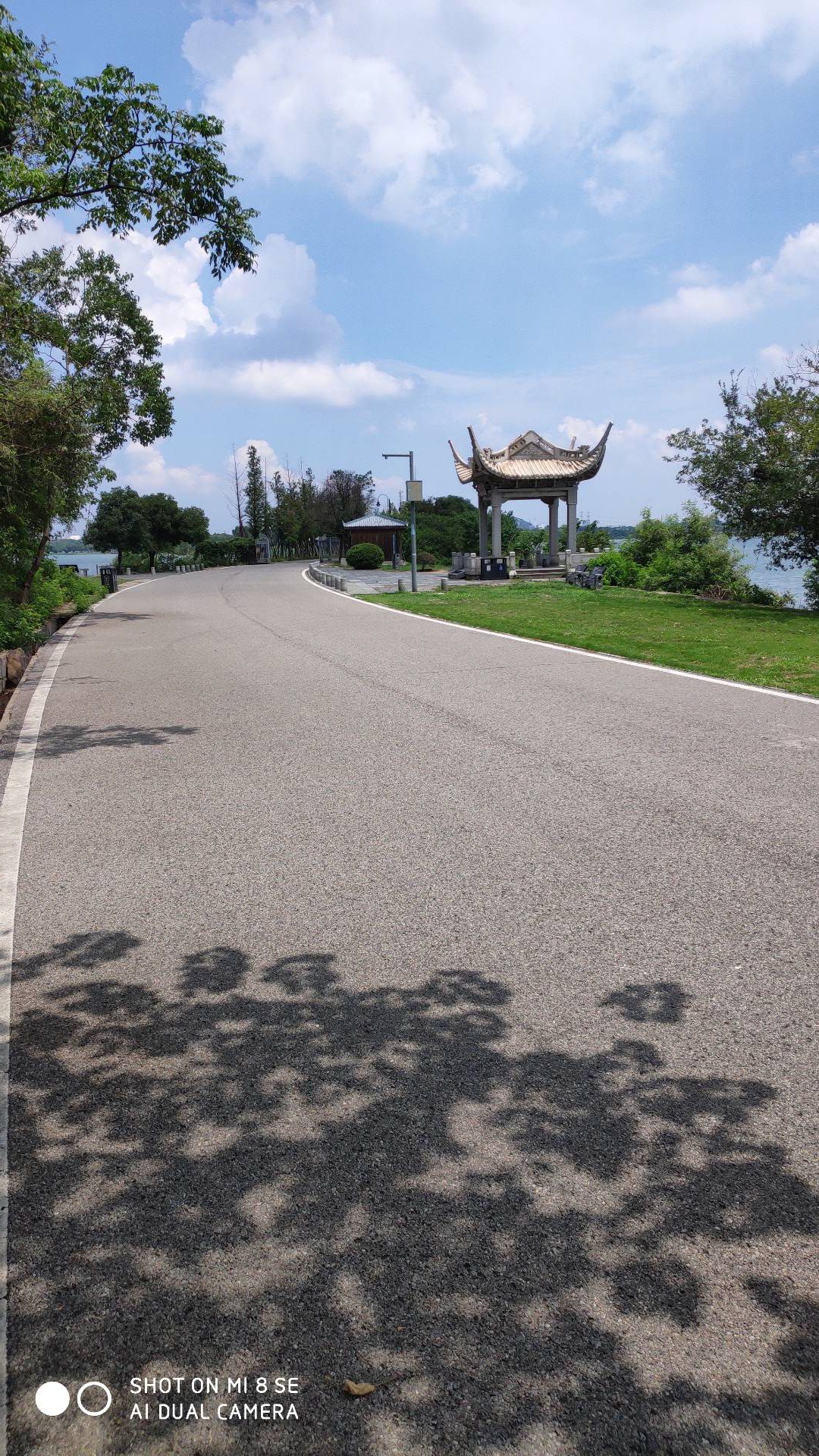 湖南华容东湖国家湿地公园旅行图片 3